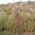 Load image into Gallery viewer, 3/8″ AR500 Static Steel Target – 12" x 8" Diamond
