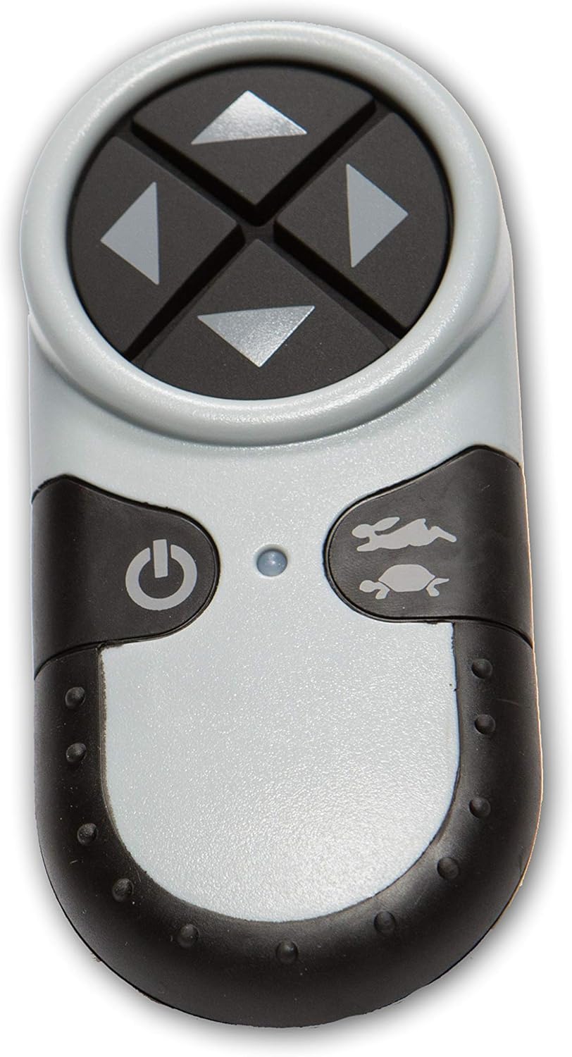 GOLIGHT GT Radioray Spotlight LED Portable Magnetic Mount Shoe Wireless Handheld Remote Black Model 79514GT