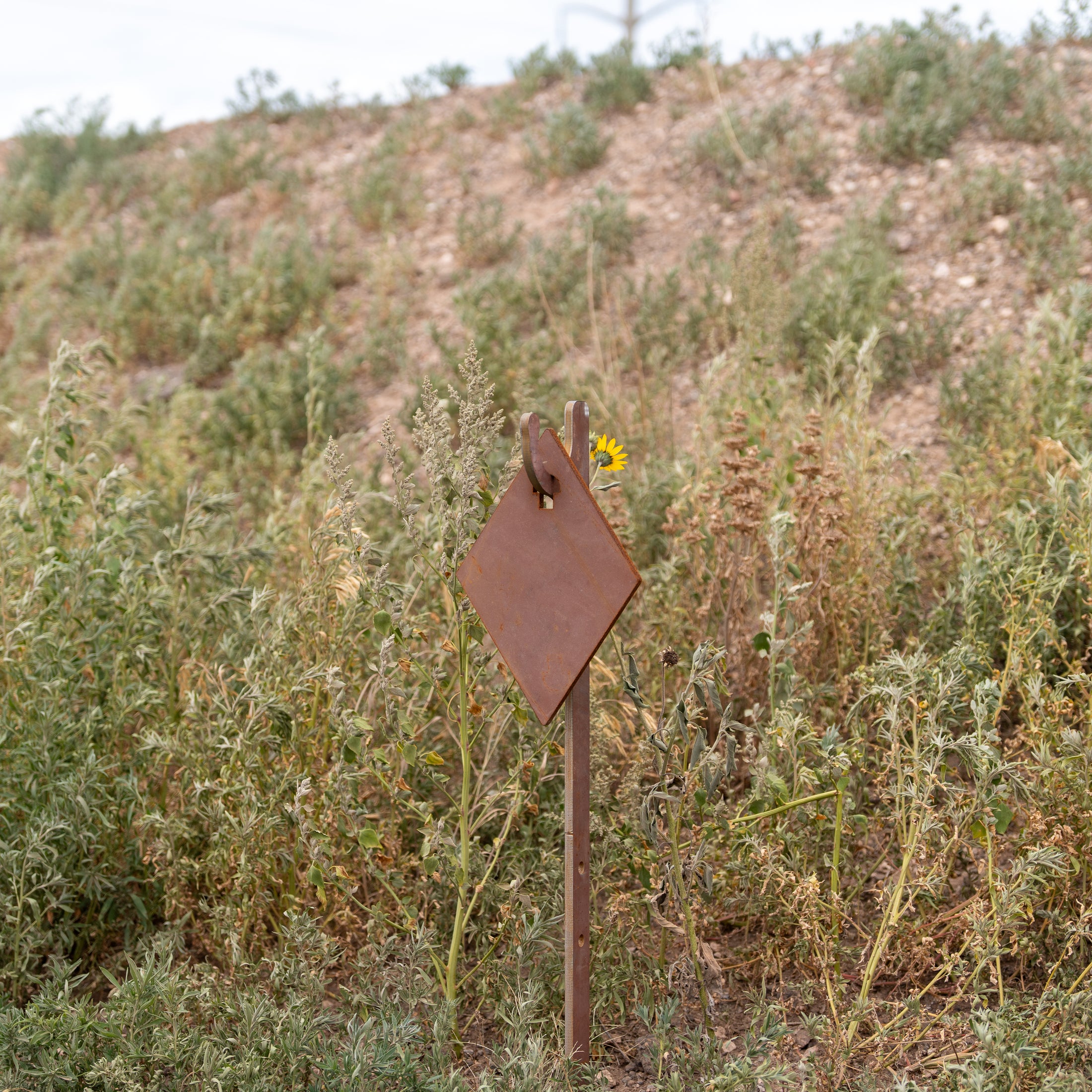 AR500 steel target post diamond