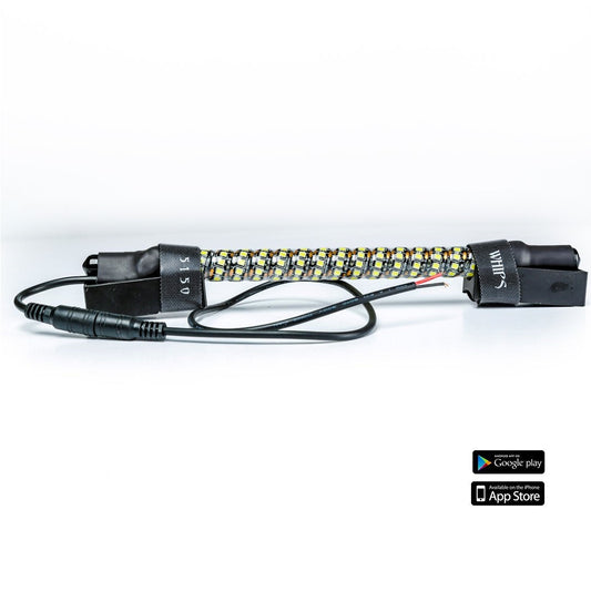 5150 Whips - Dome Light